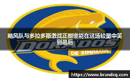 飓风队与多拉多斯激战正酣谁能在这场较量中笑到最后