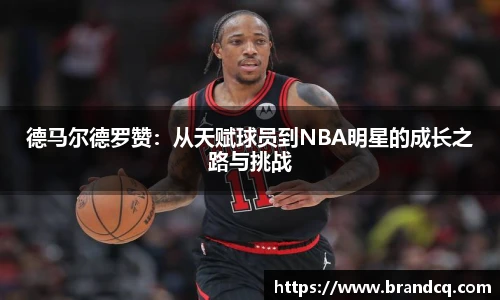 金年会金字招牌