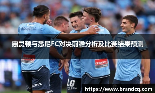 惠灵顿与悉尼FC对决前瞻分析及比赛结果预测