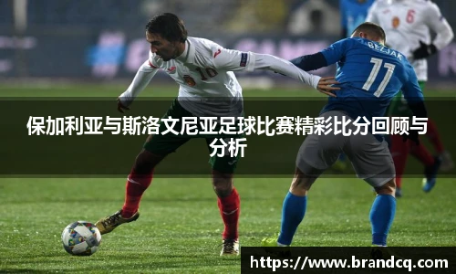 保加利亚与斯洛文尼亚足球比赛精彩比分回顾与分析
